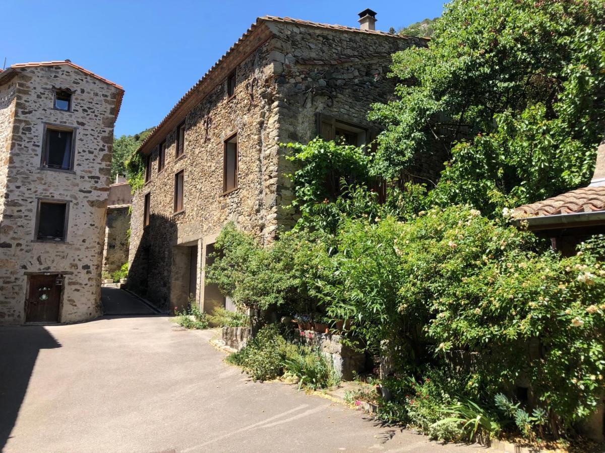 Aux Belles Vacances - Adults Only Caux-et-Sauzens Exterior photo